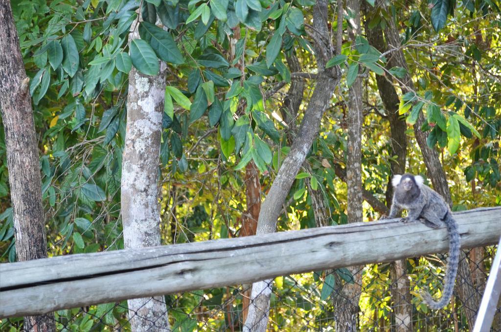 Villas do Pratagy Resort